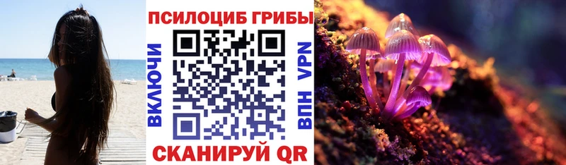 Галлюциногенные грибы Psilocybe  Купить где  Бикин 